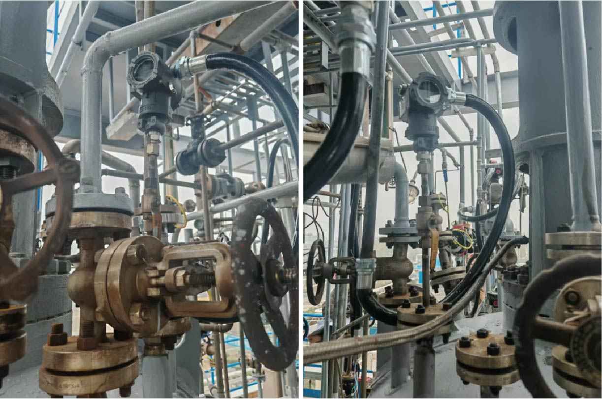 双法兰液位变送器